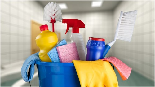 Professional carpet cleaning service for homes and businesses in W1T