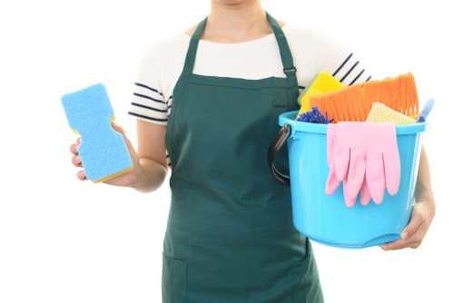Local carpet cleaner treating stains in a central London property