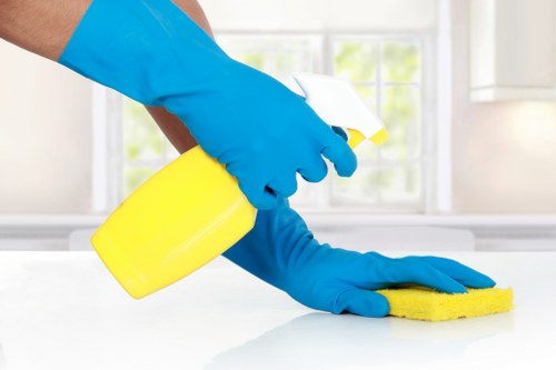 Deep cleaning carpets in a W1T residential flat interior