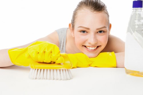 Professional rug cleaning service for W1T homes and apartments