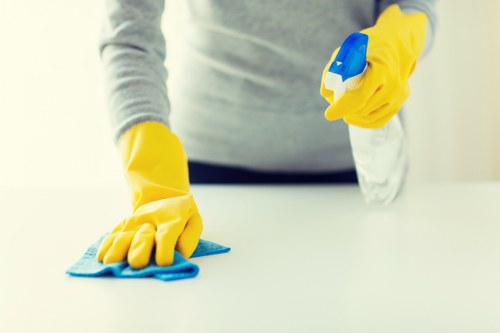 Professional carpet cleaning W1T concepts for homes and businesses
