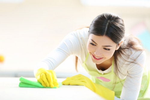 Vacuuming and dust removal in a central London flat after renovation