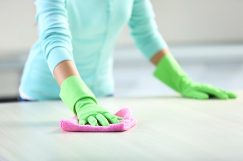 Reliable domestic cleaning for busy households and offices in W1T