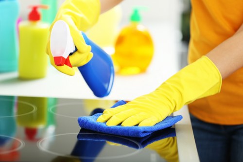 Local cleaning service in W1T for period homes and apartment conversions
