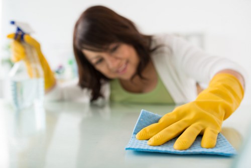 Domestic and commercial carpet care overview