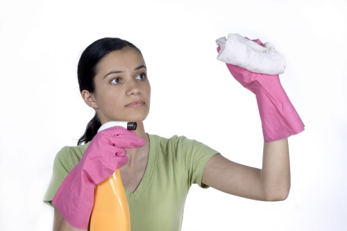 Professional cleaner working in a central London flat in W1T