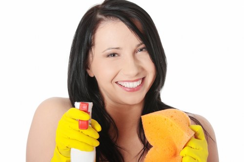 Detailed oven cleaning for busy kitchens in W1T