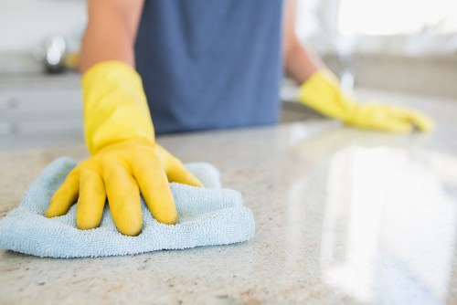 Regular domestic cleaning tasks in a central London home