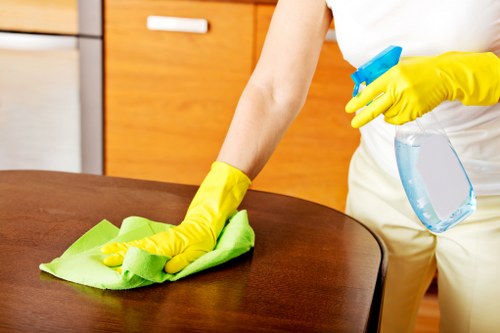 Professional cleaner serving homes and businesses across W1T and nearby areas