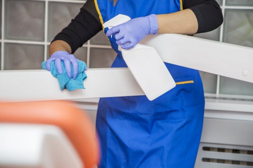 Domestic cleaning service for a flat in W1T