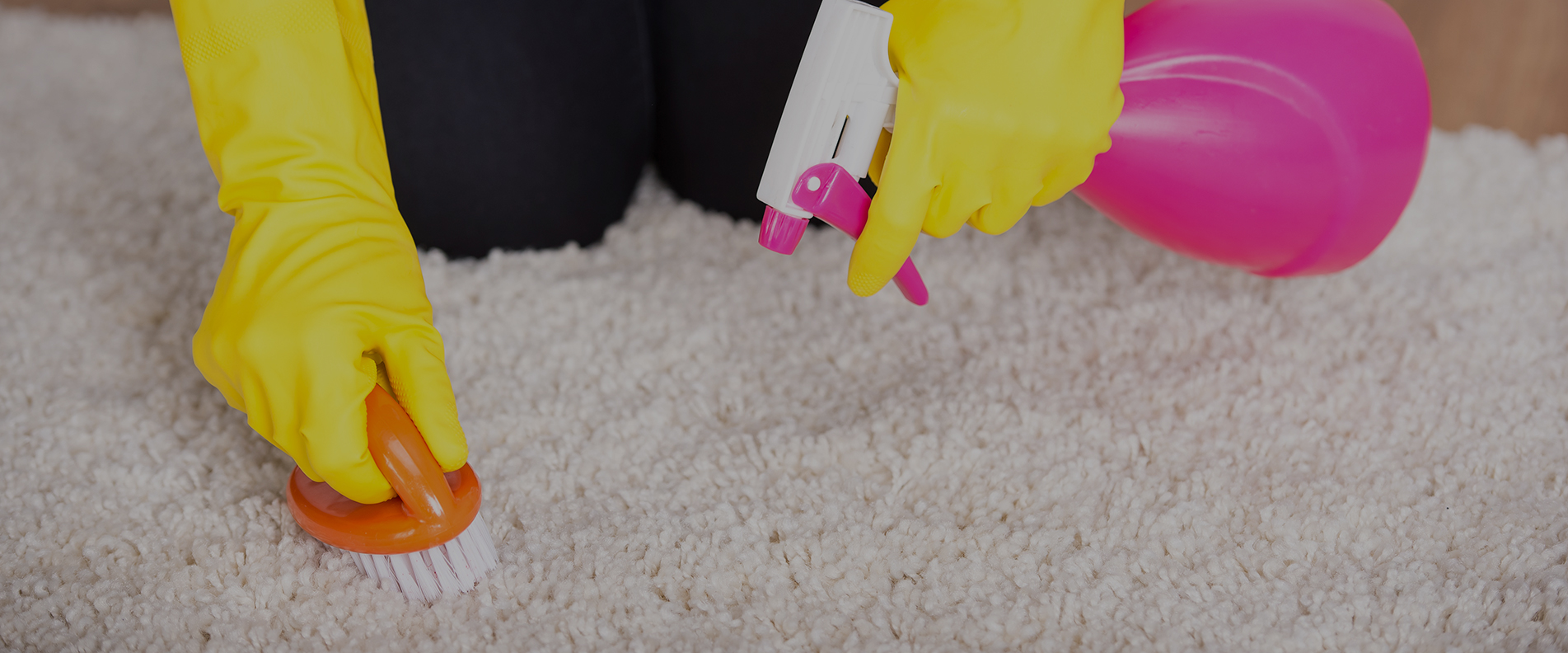 Carpet Cleaning W1T